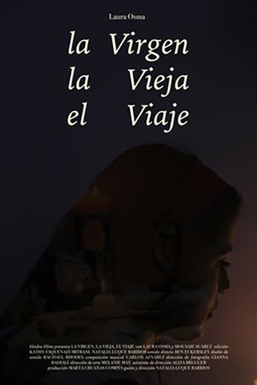 The Virgen, The Old Lady, The Journey (2020) poster
