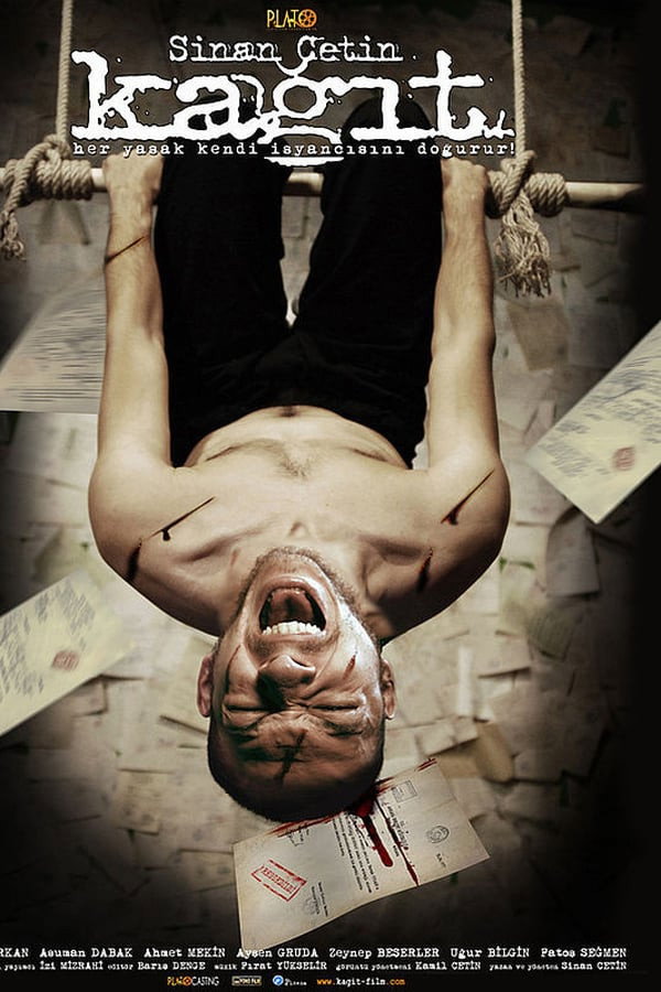 Paper (2011) poster