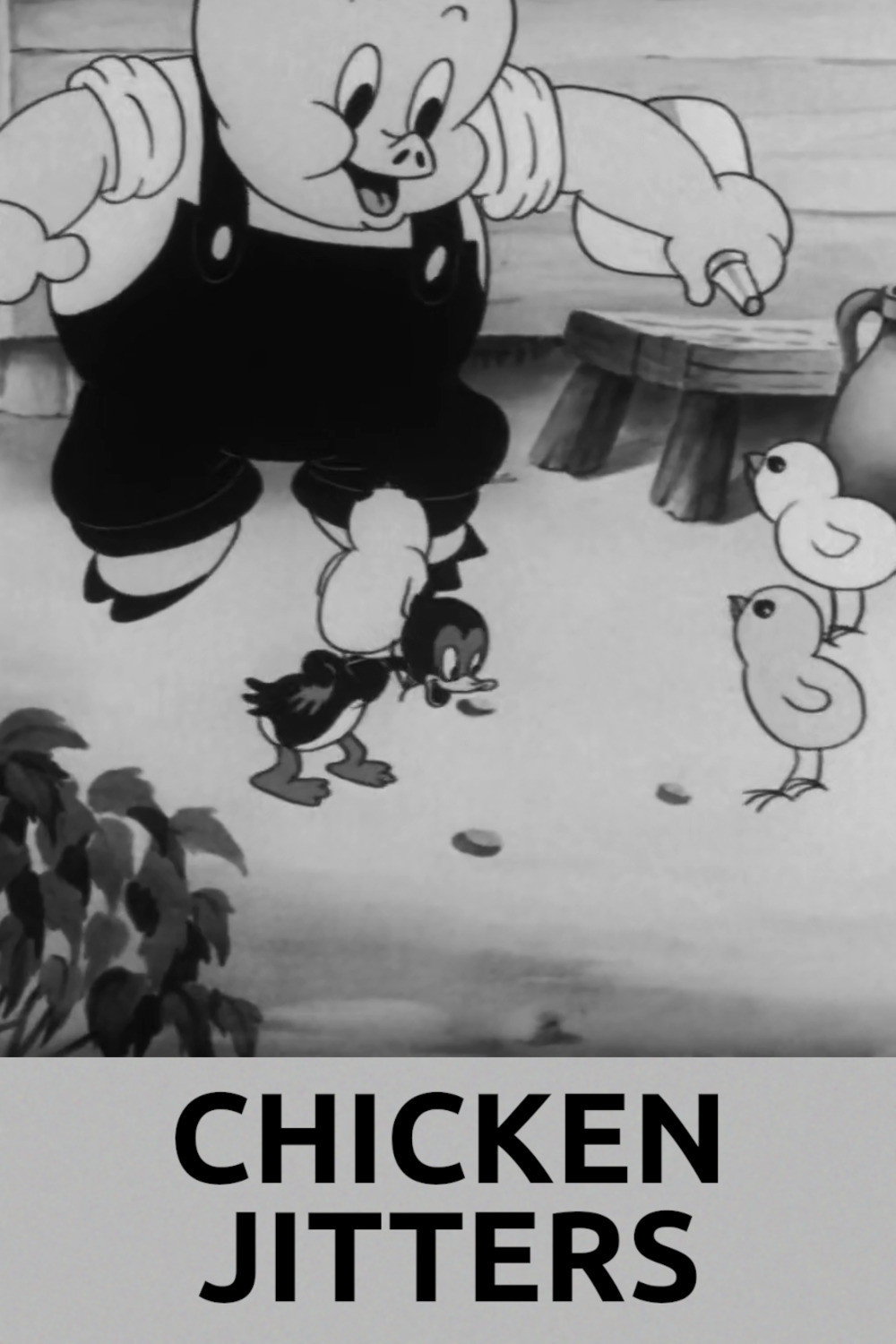 Chicken Jitters (1939) poster