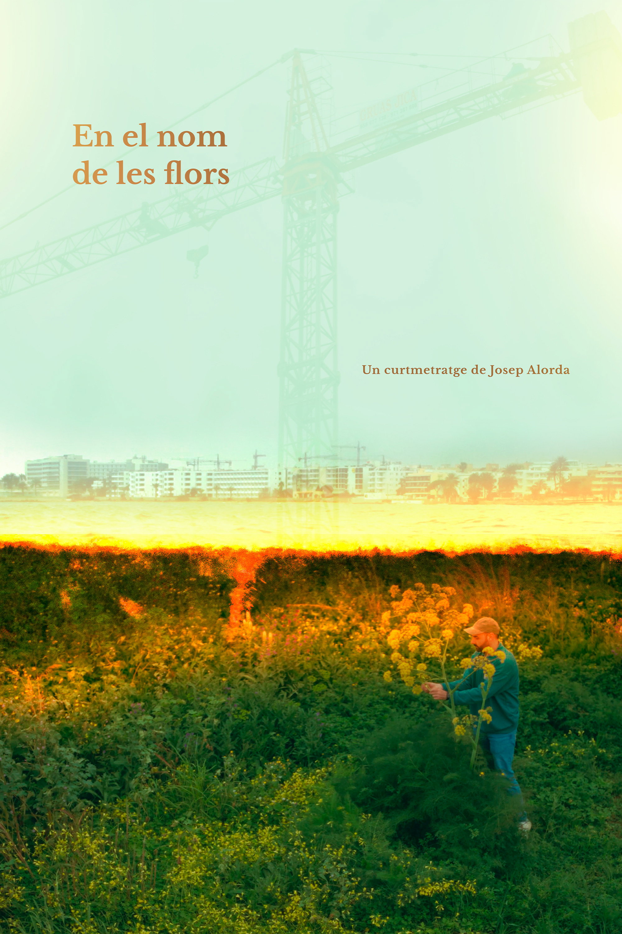 In the name of flowers (2026) poster