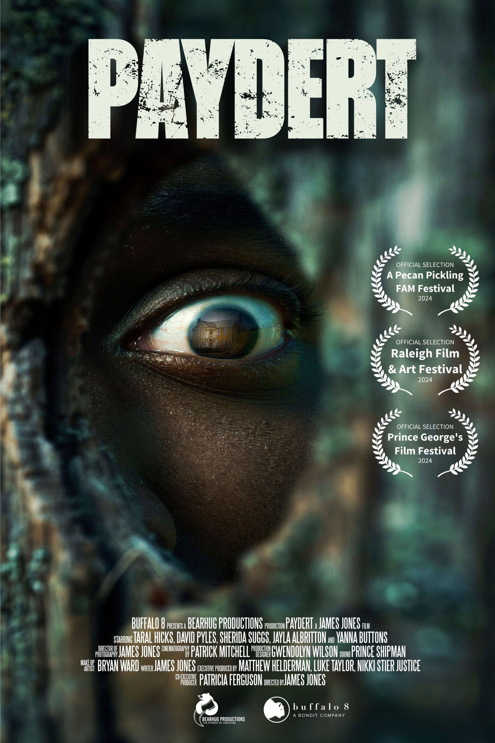 Paydert (2026) poster