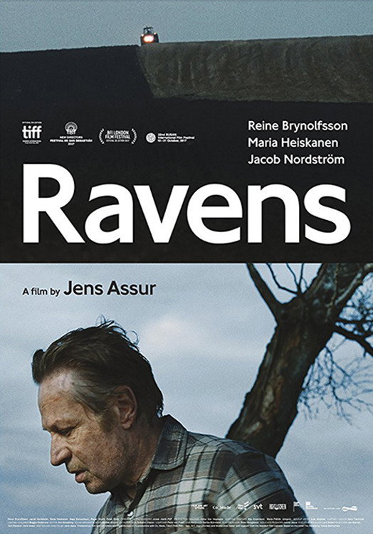 Ravens (2017) poster