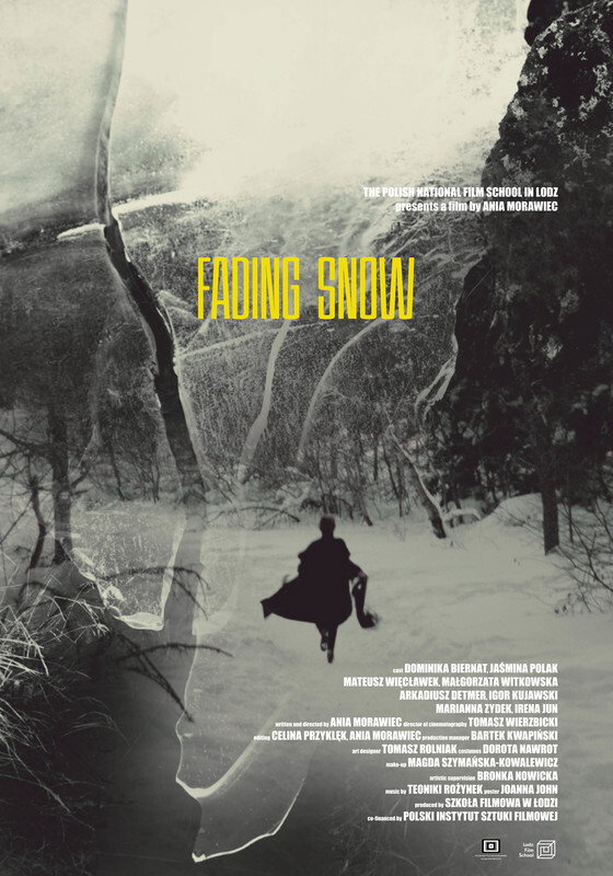 Fading Snow (2020) poster