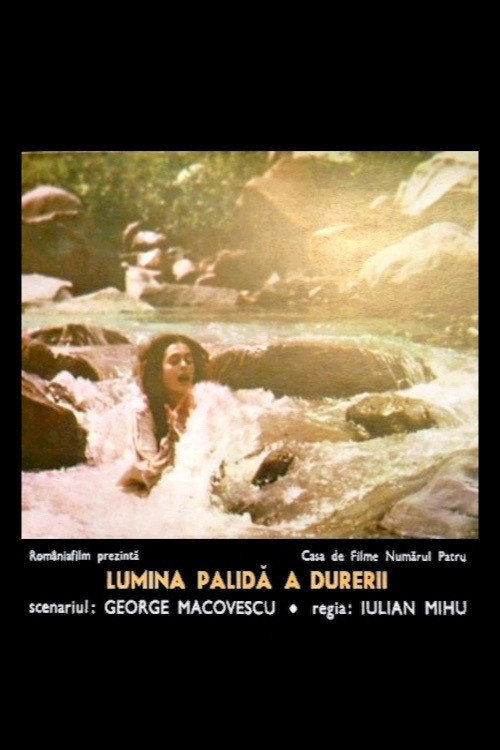 The Pale Light of Sorrow (1980) poster