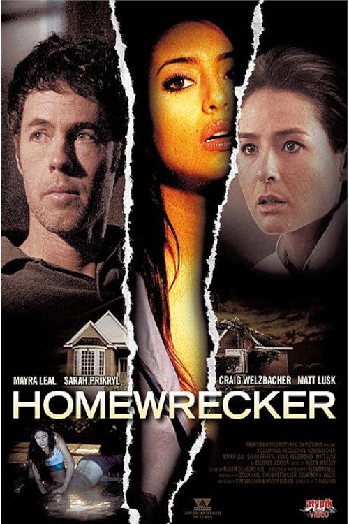 Playing House (2011) poster