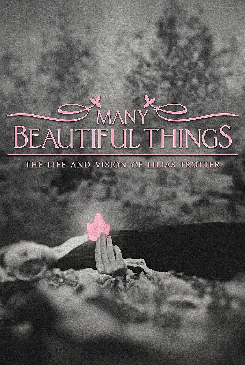 Many Beautiful Things (2015) poster