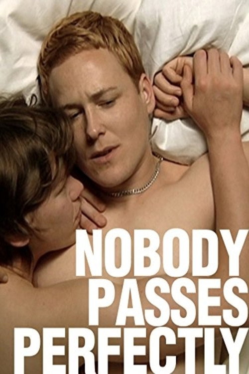 Nobody Passes Perfectly (2009) poster