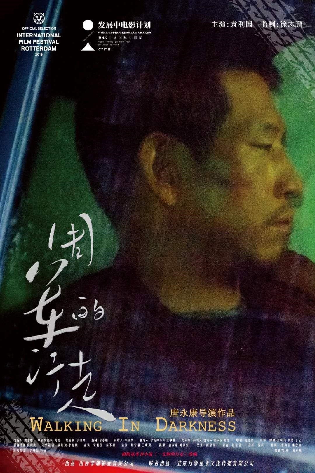 Walking in Darkness (2019) poster