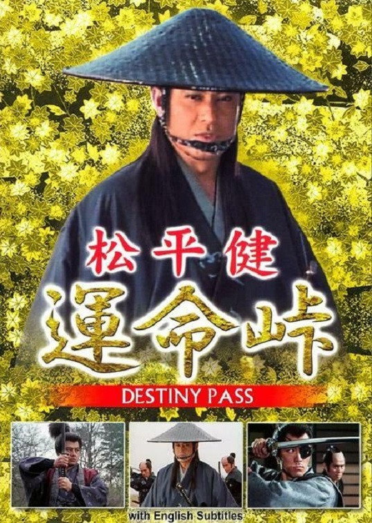 Destiny Pass (1993) poster