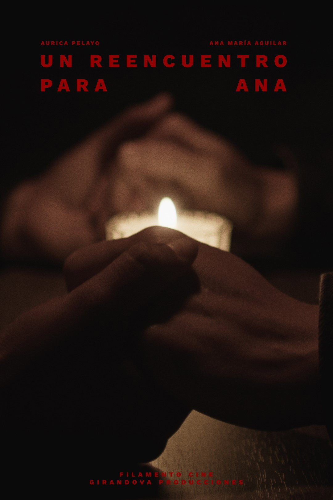 A Reunion For Ana (2026) poster