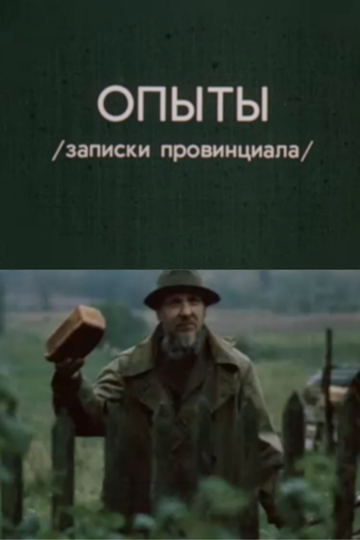 Experiments. Notes of a Provincial (1986) poster