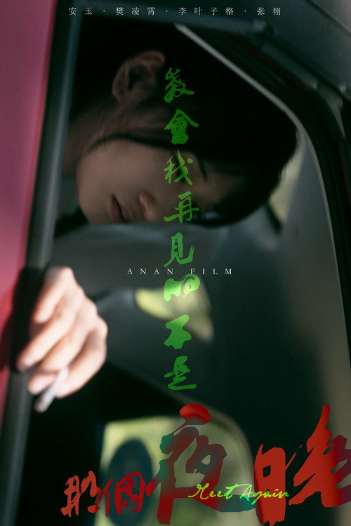 Meet Again (2024) poster