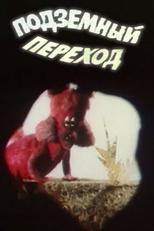 Underground Crossing (1984) poster