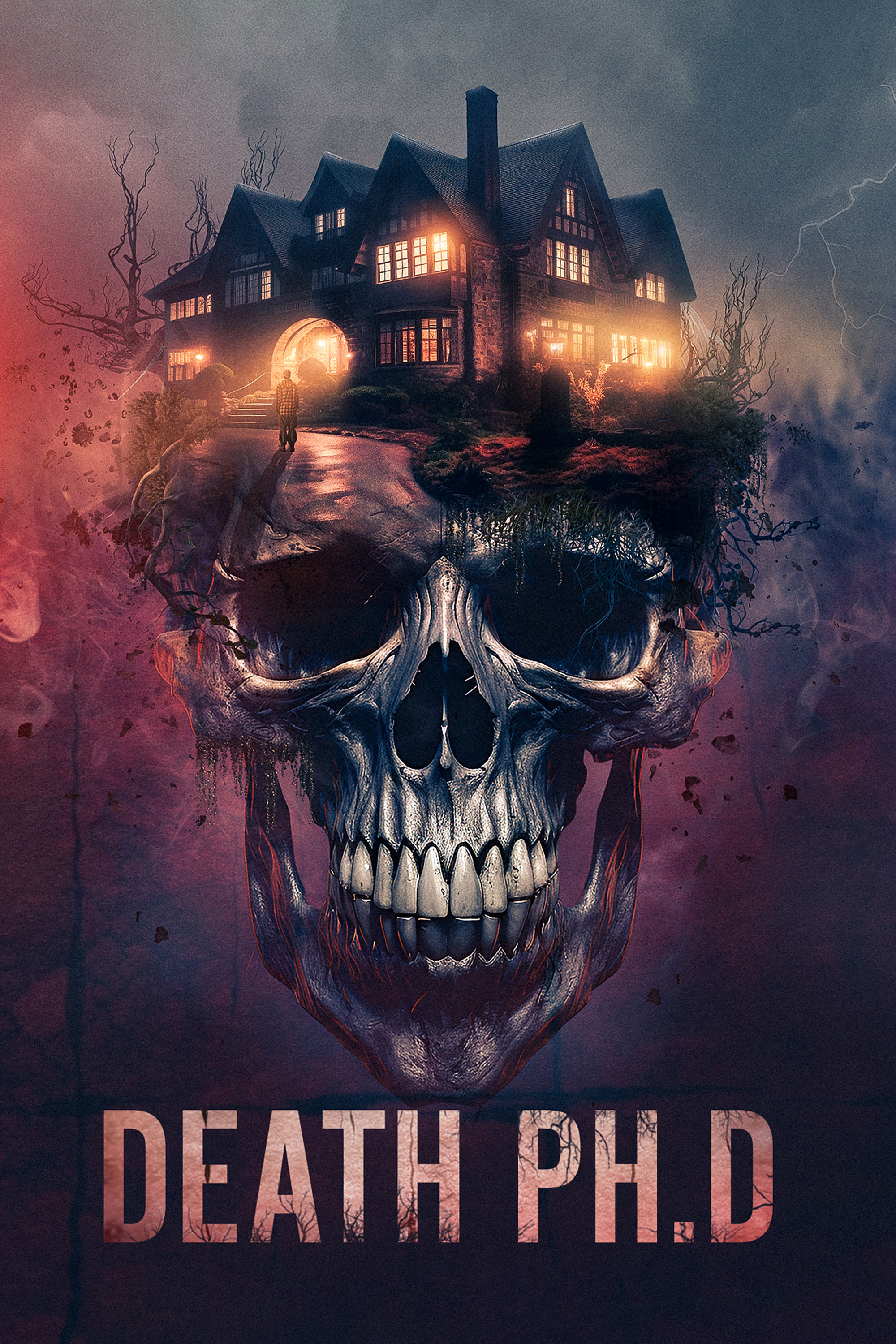 Death PhD (2024) poster