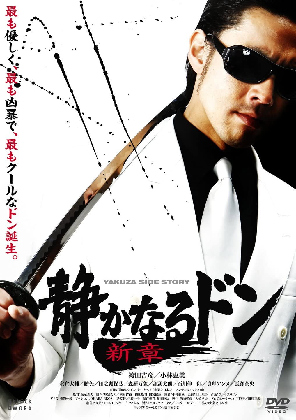 The Quiet Don: A New Chapter (2009) poster