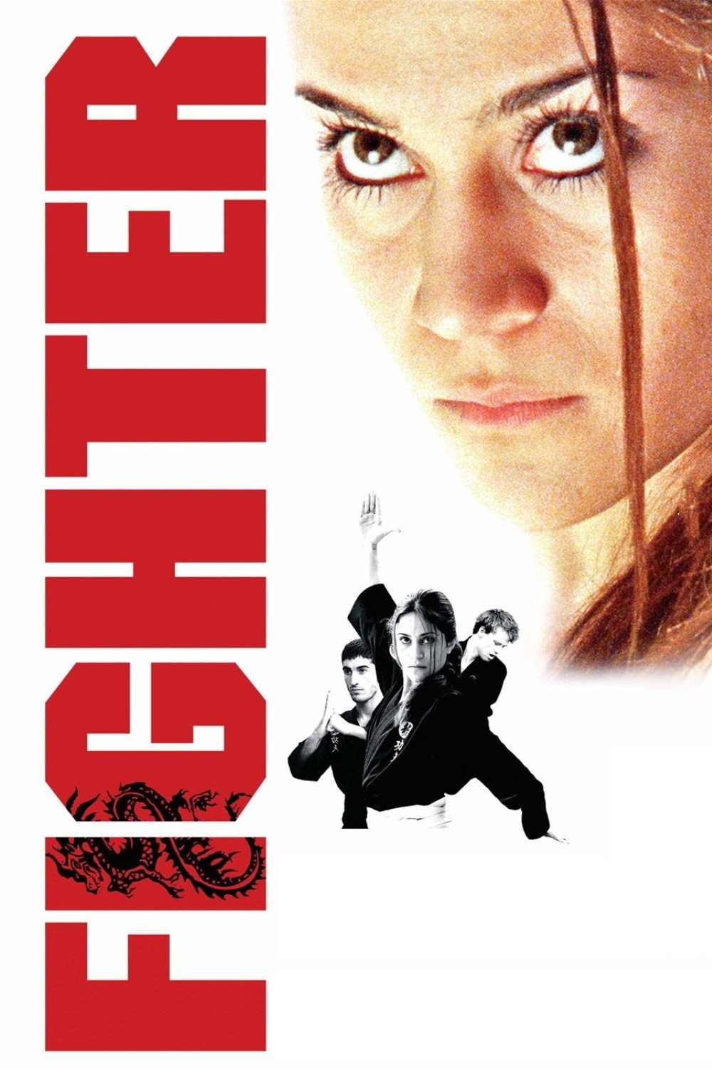 Fighter (2007) poster