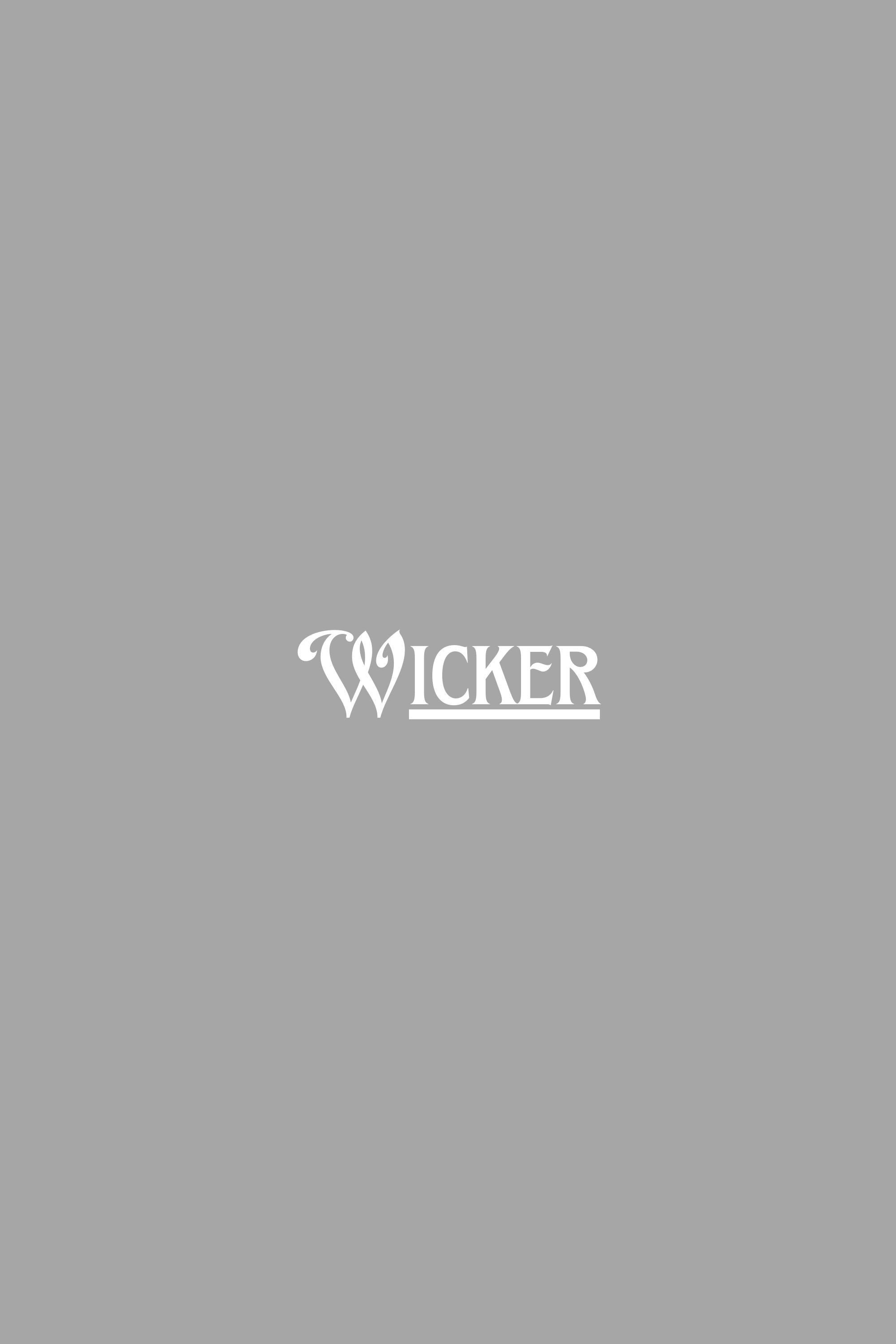 Wicker (2026) poster