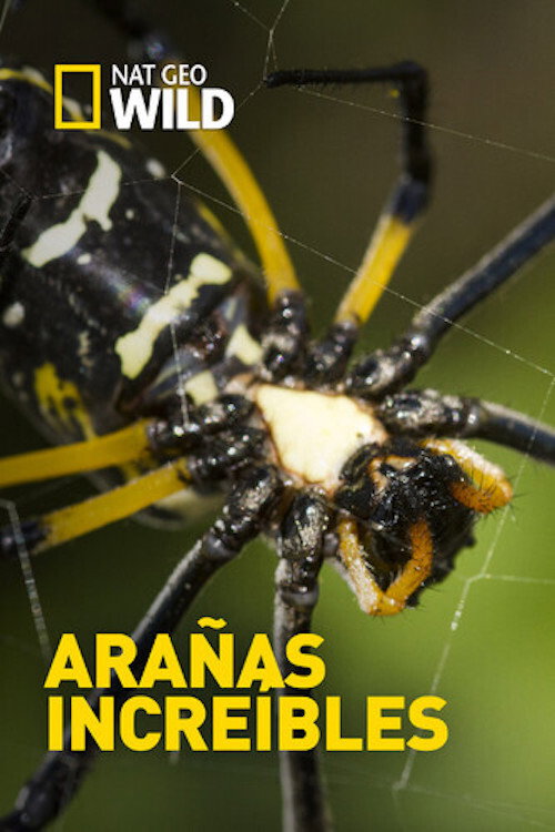 Incredible Spiders (2016) poster