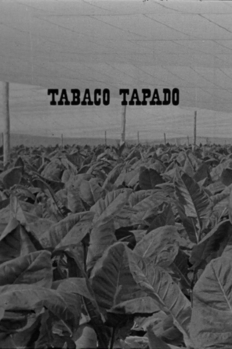 Tabaco tapado (1967) poster