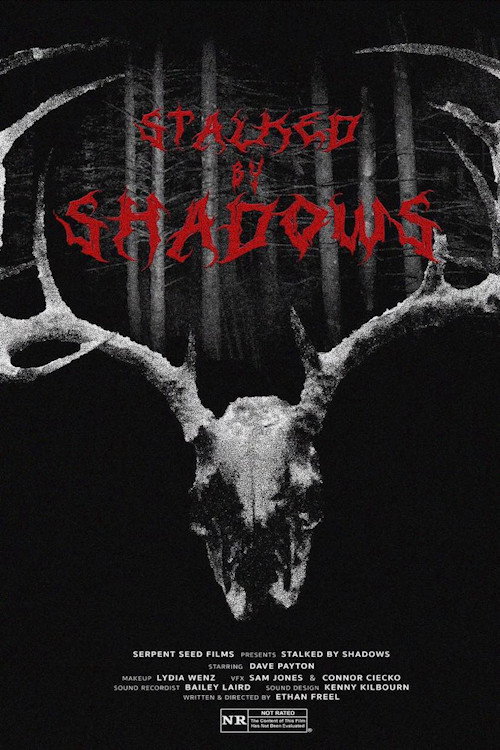 Stalked by Shadows (2024) poster