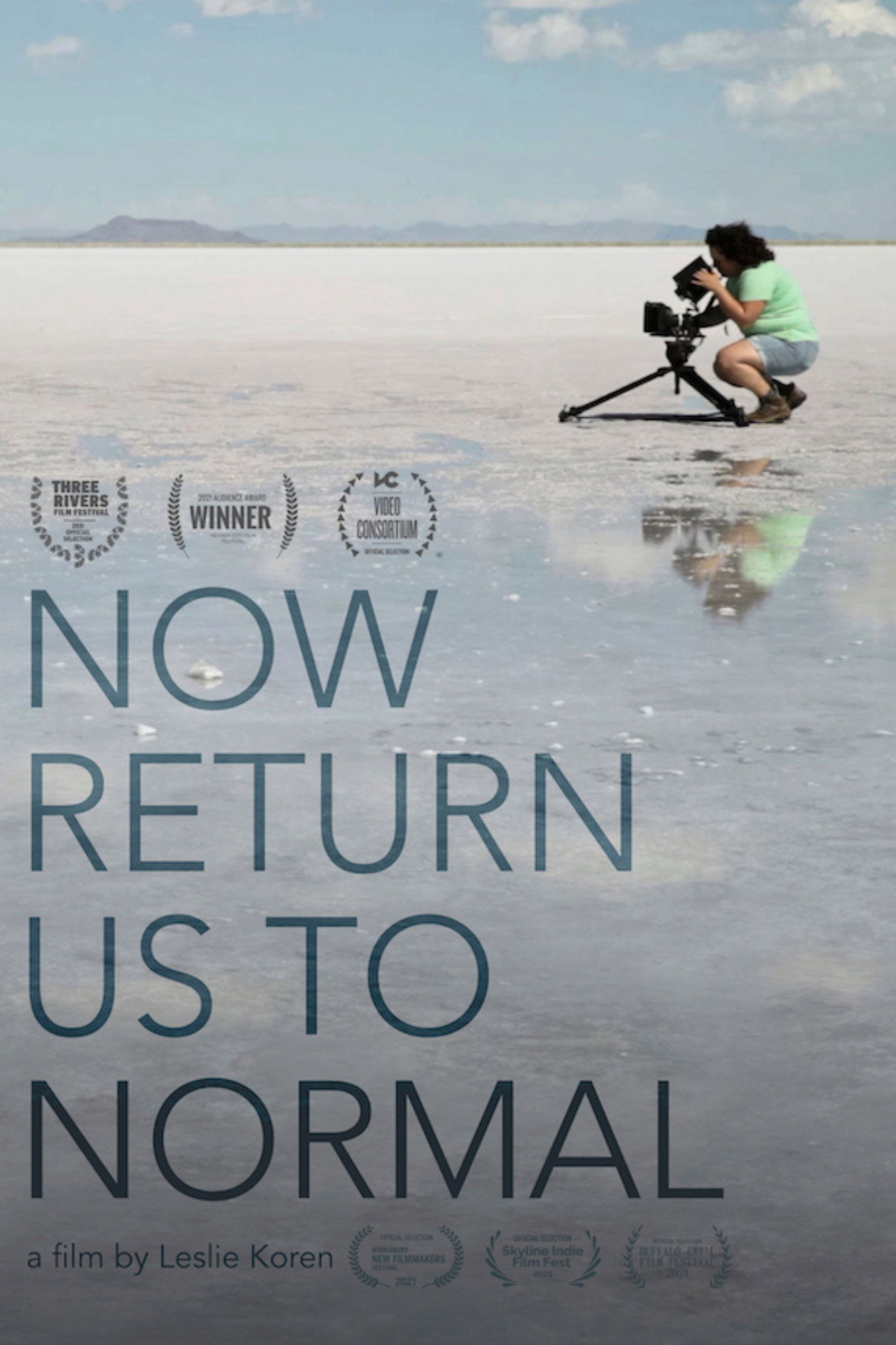 Now Return Us To Normal (2026) poster