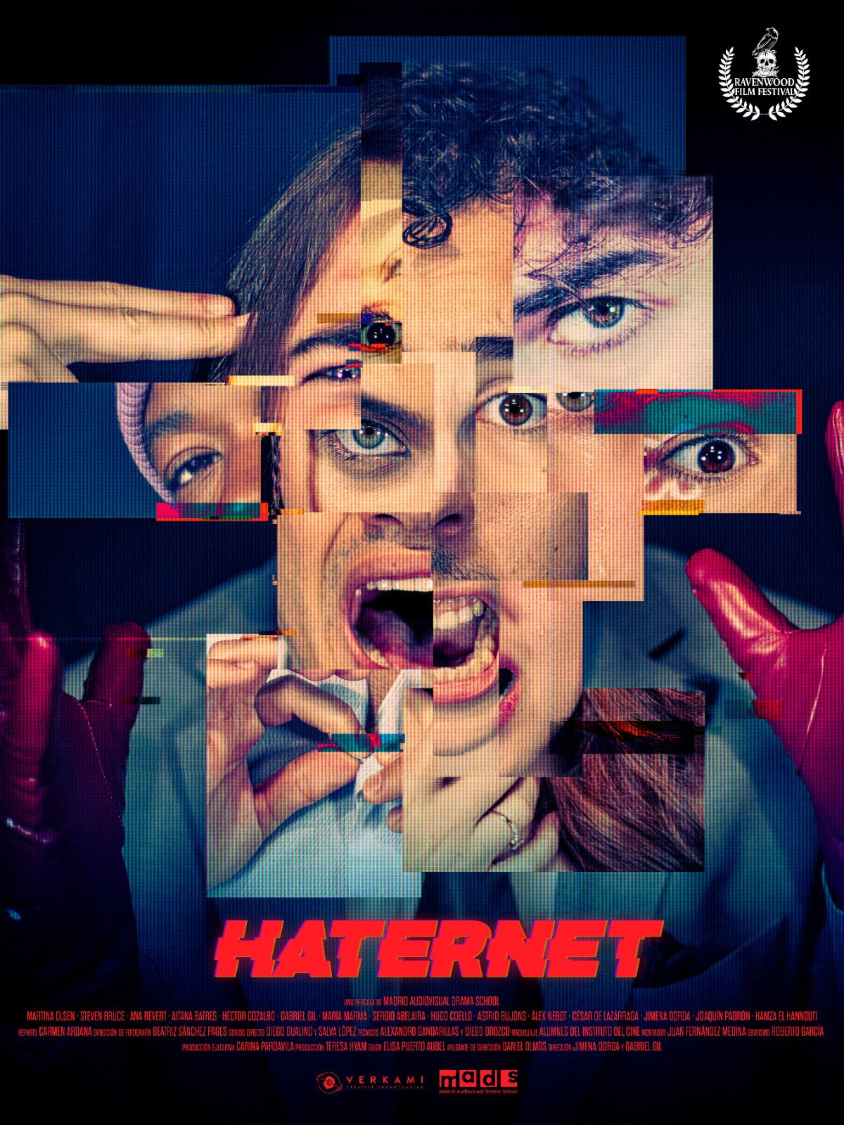 HATERNET (2026) poster