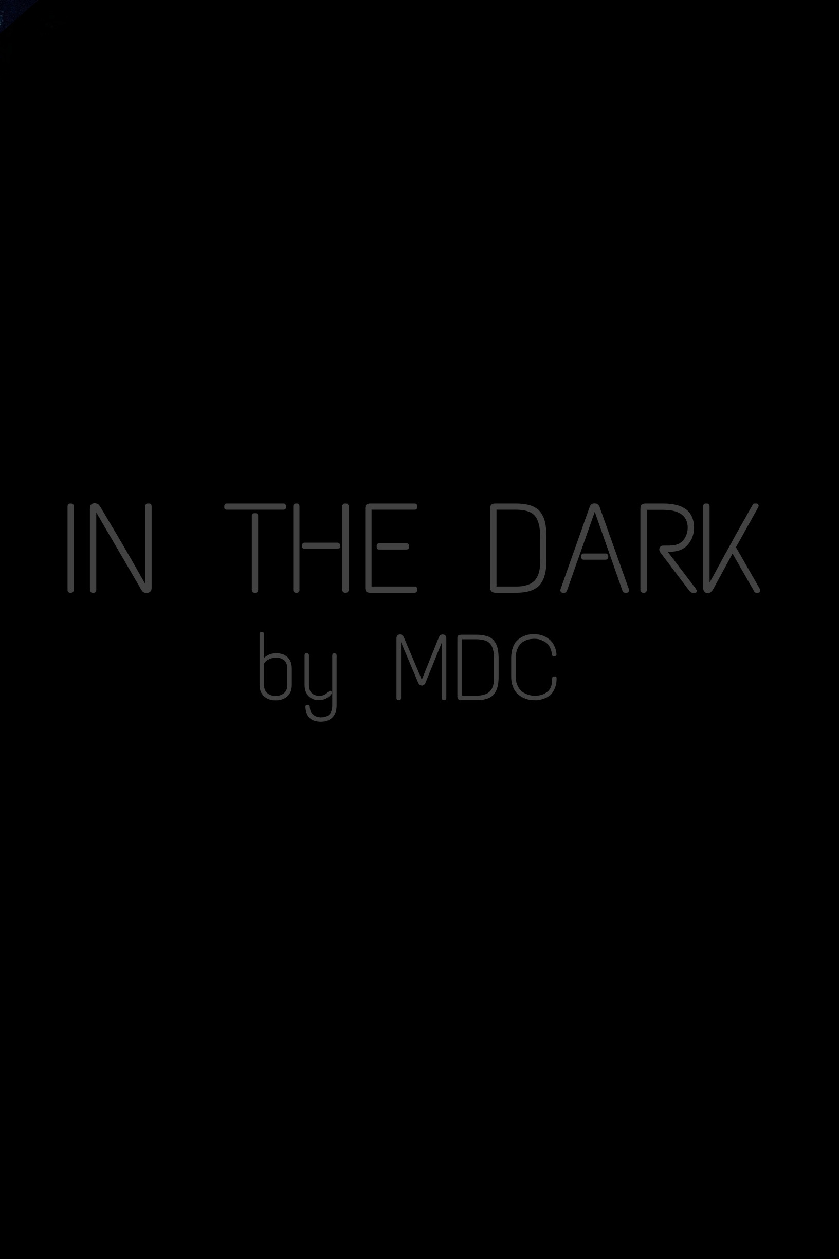 IN THE DARK (2024) poster