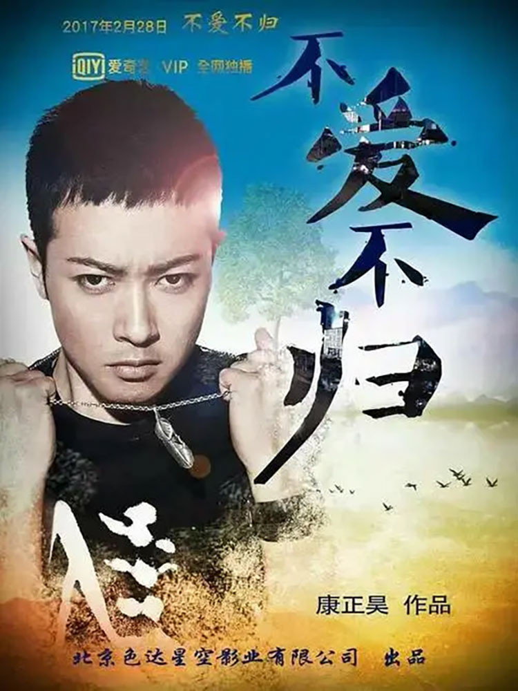 不爱不归 (2017) poster