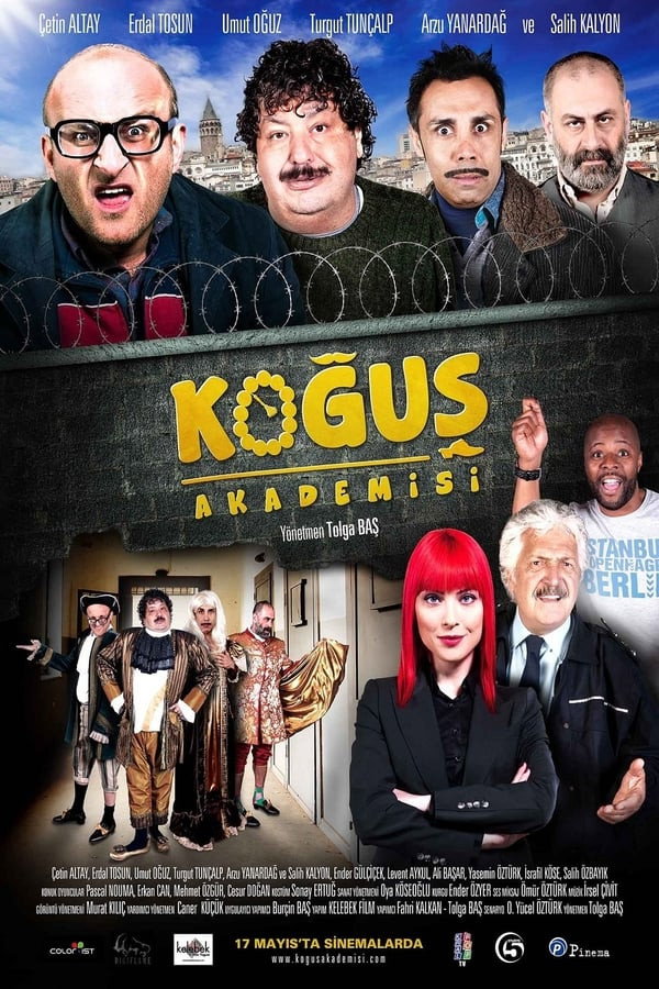 Dorm Academy (2013) poster