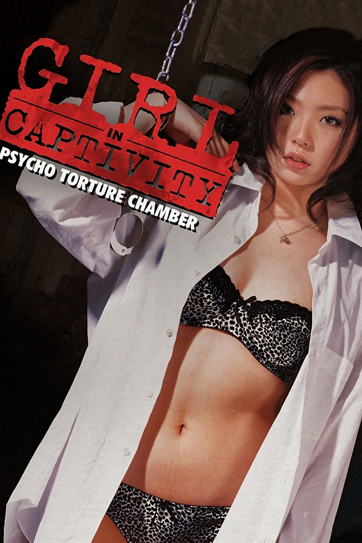 Girl in Captivity: Psycho Torture Chamber (2008) poster