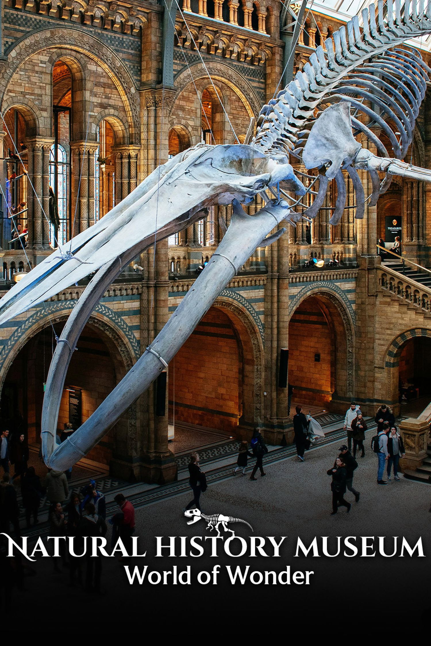 Natural History Museum: World of Wonder (2021) poster
