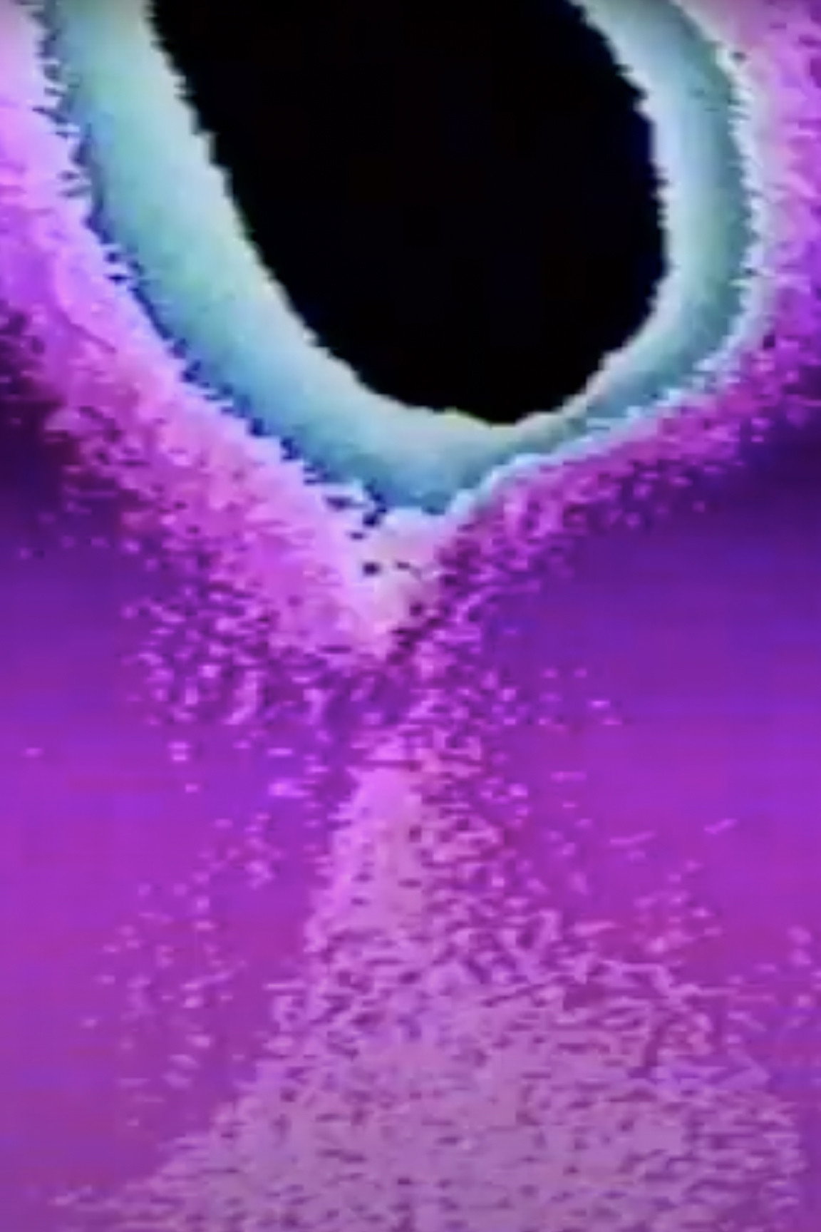 Digital Noise (2026) poster