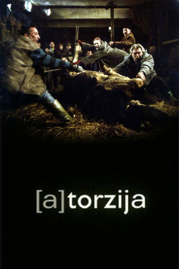 (A)Torsion (2003) poster