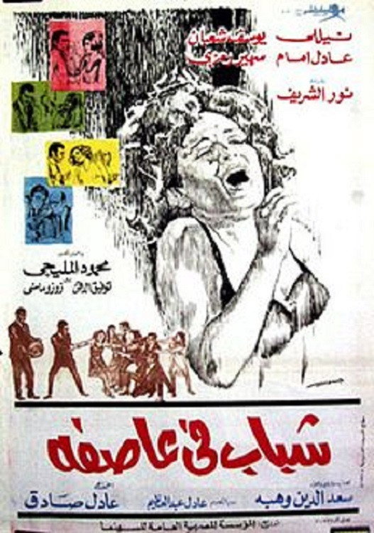 Youth in a Storm (1971) poster
