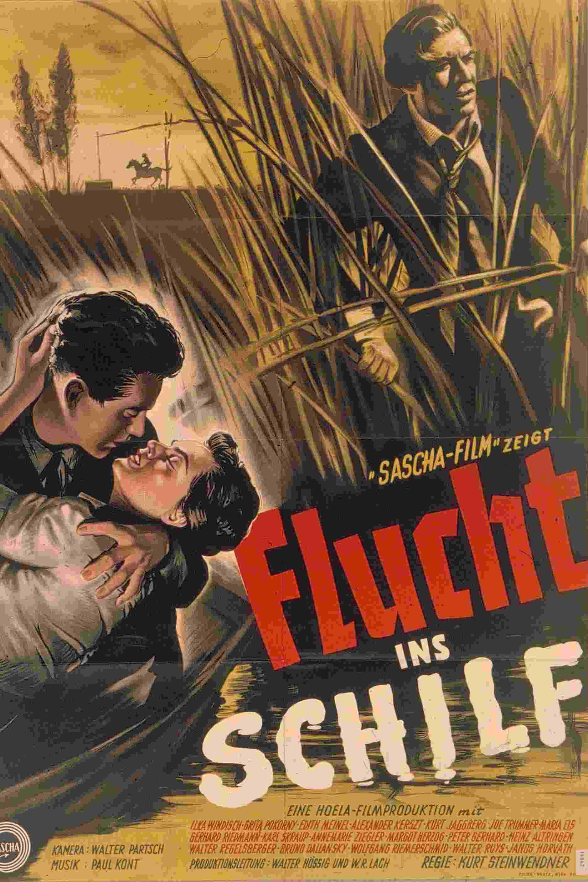 Brutality (1953) poster