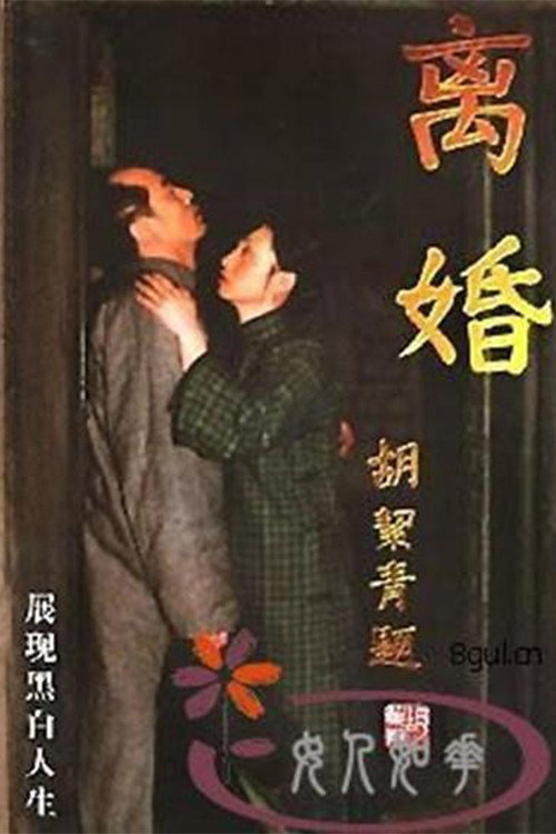 Divorce (1999) poster