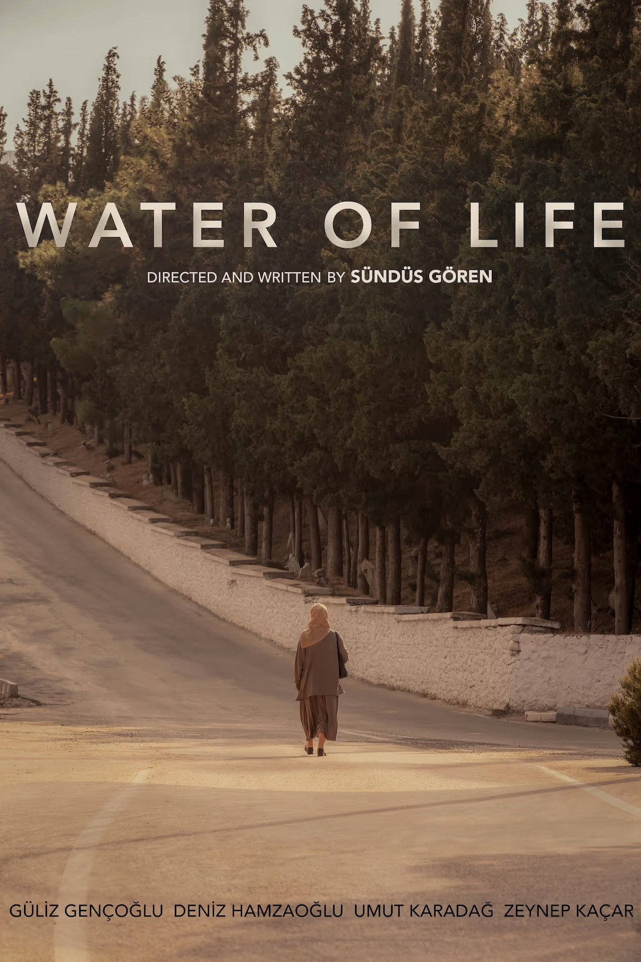 Water of Life (2023) poster
