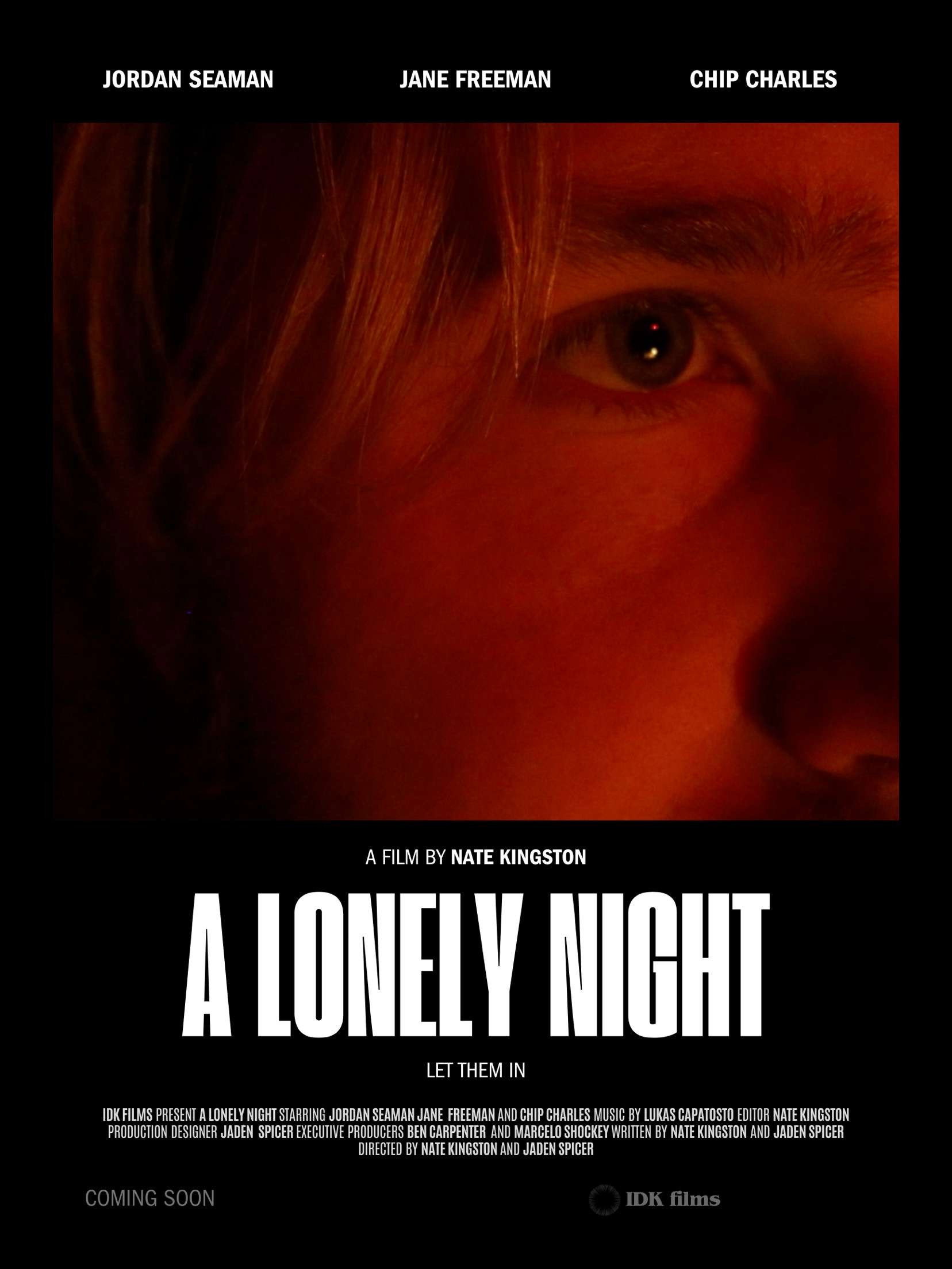 a lonely night (2024) poster