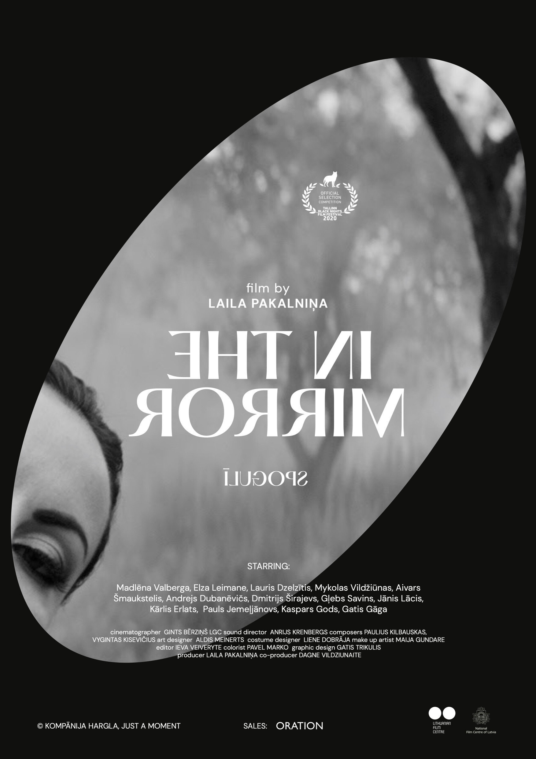 In the Mirror (2020) poster