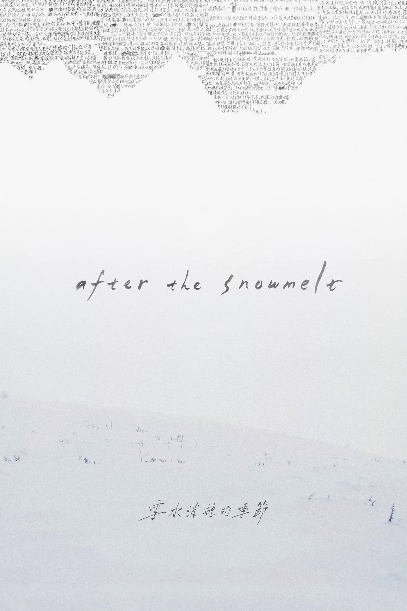 After the Snowmelt (2024) poster