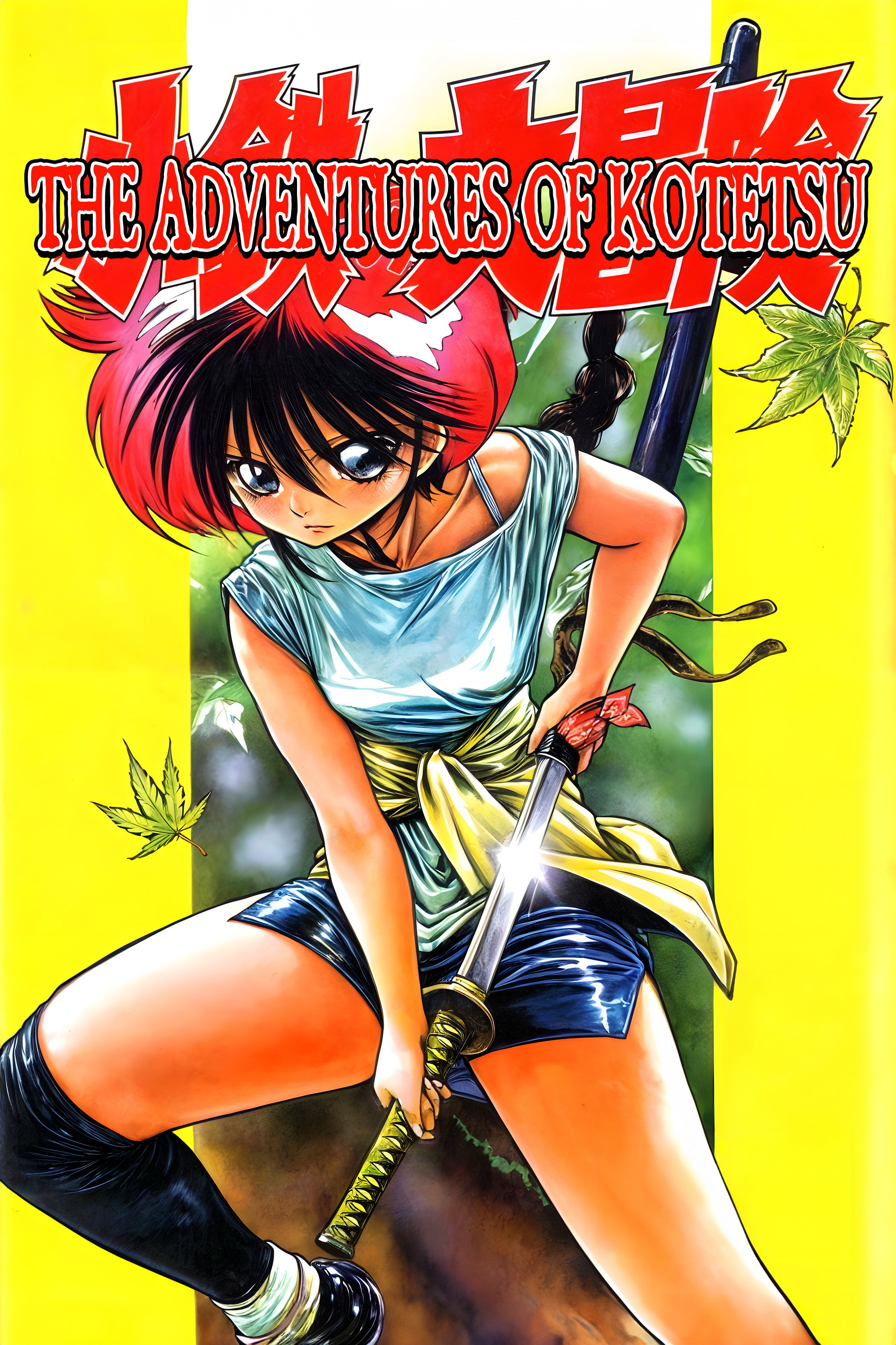 The Adventures of Kotetsu (1996) poster