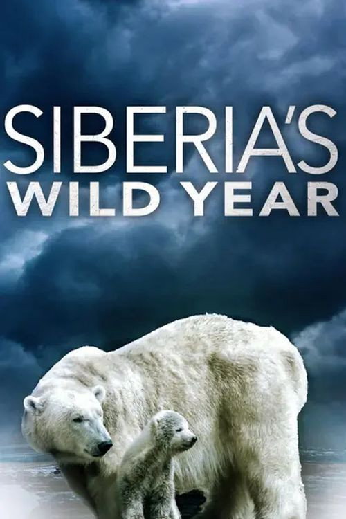 Siberia's Wild Year (2017) poster