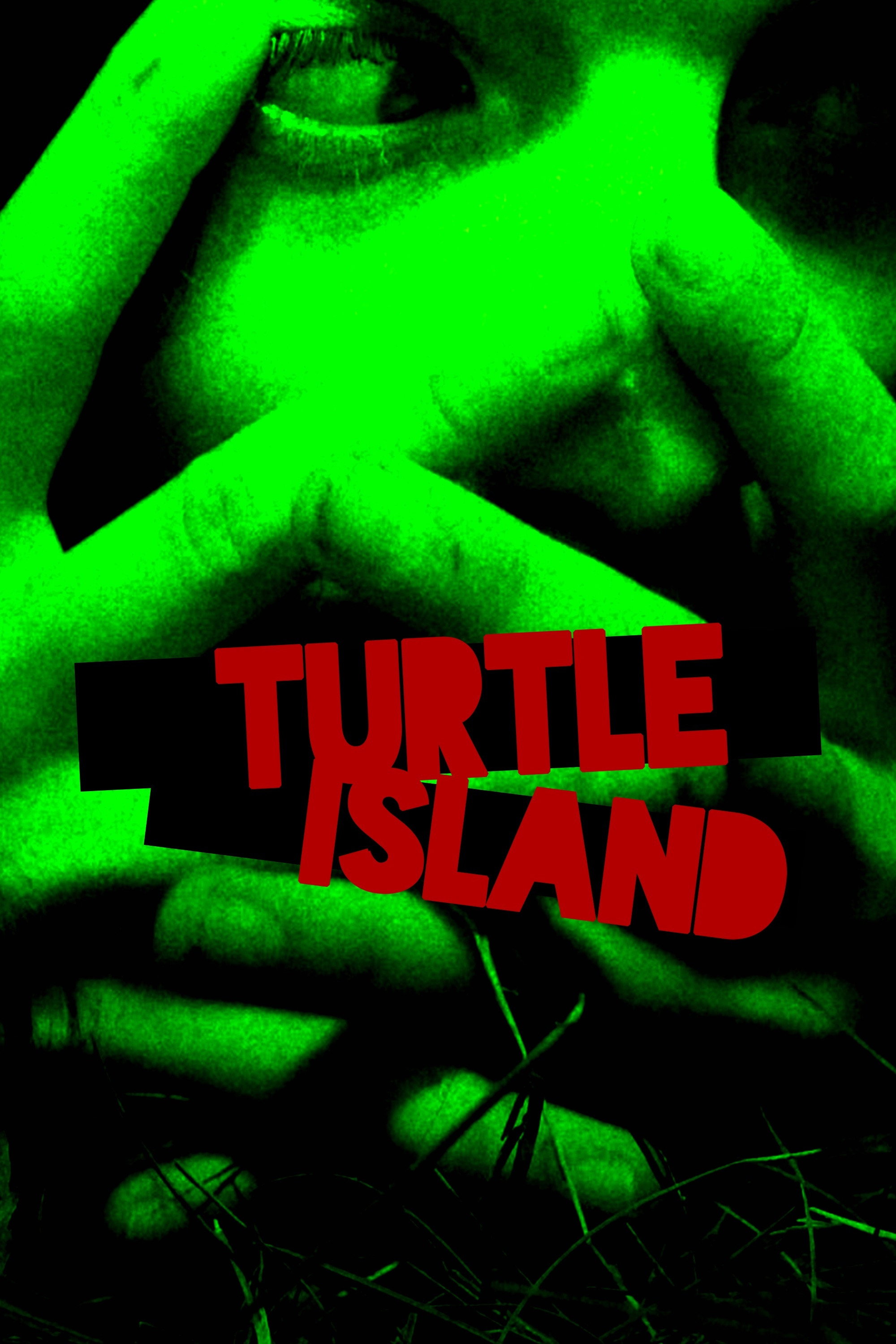 Turtle Island (2013) poster