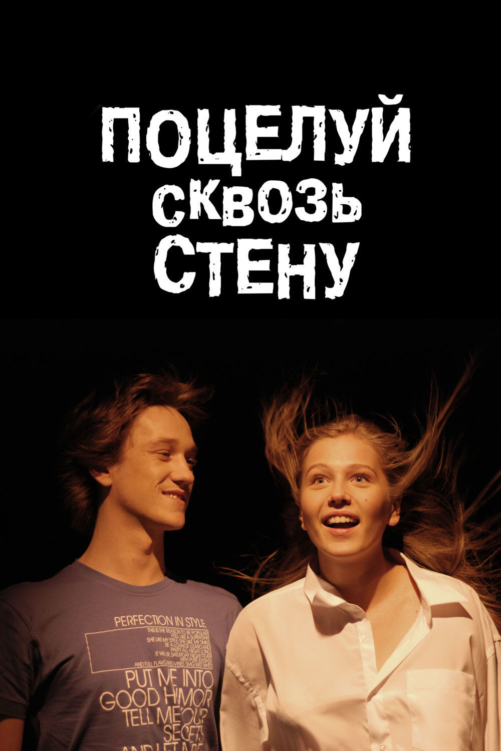 Kiss through the Wall (2011) poster