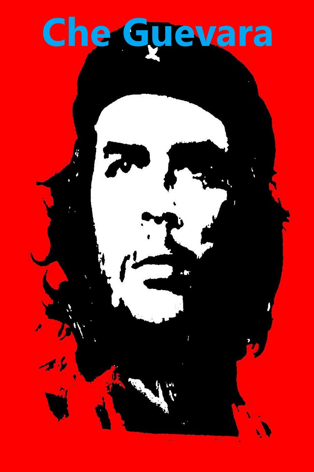 Che Guevara (2005) poster