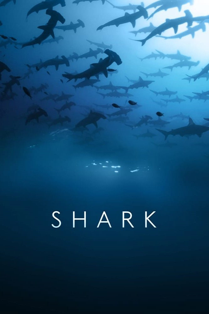 Shark (2015) poster