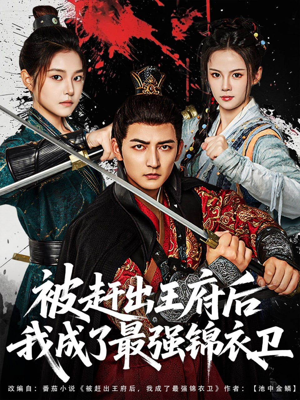 被赶出王府后我成了最强锦衣卫 (2025) poster