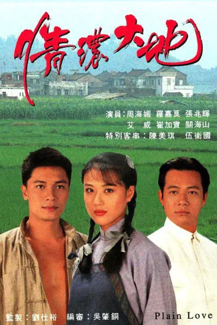 Plain Love (1995) poster
