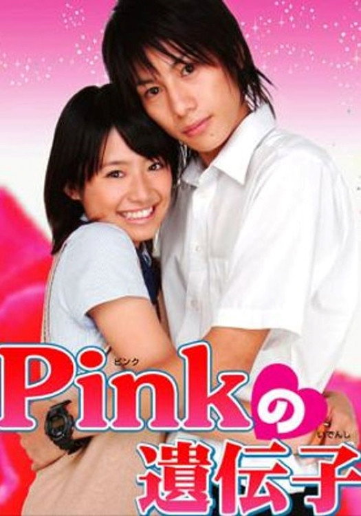 Pink no Idenshi (2005) poster