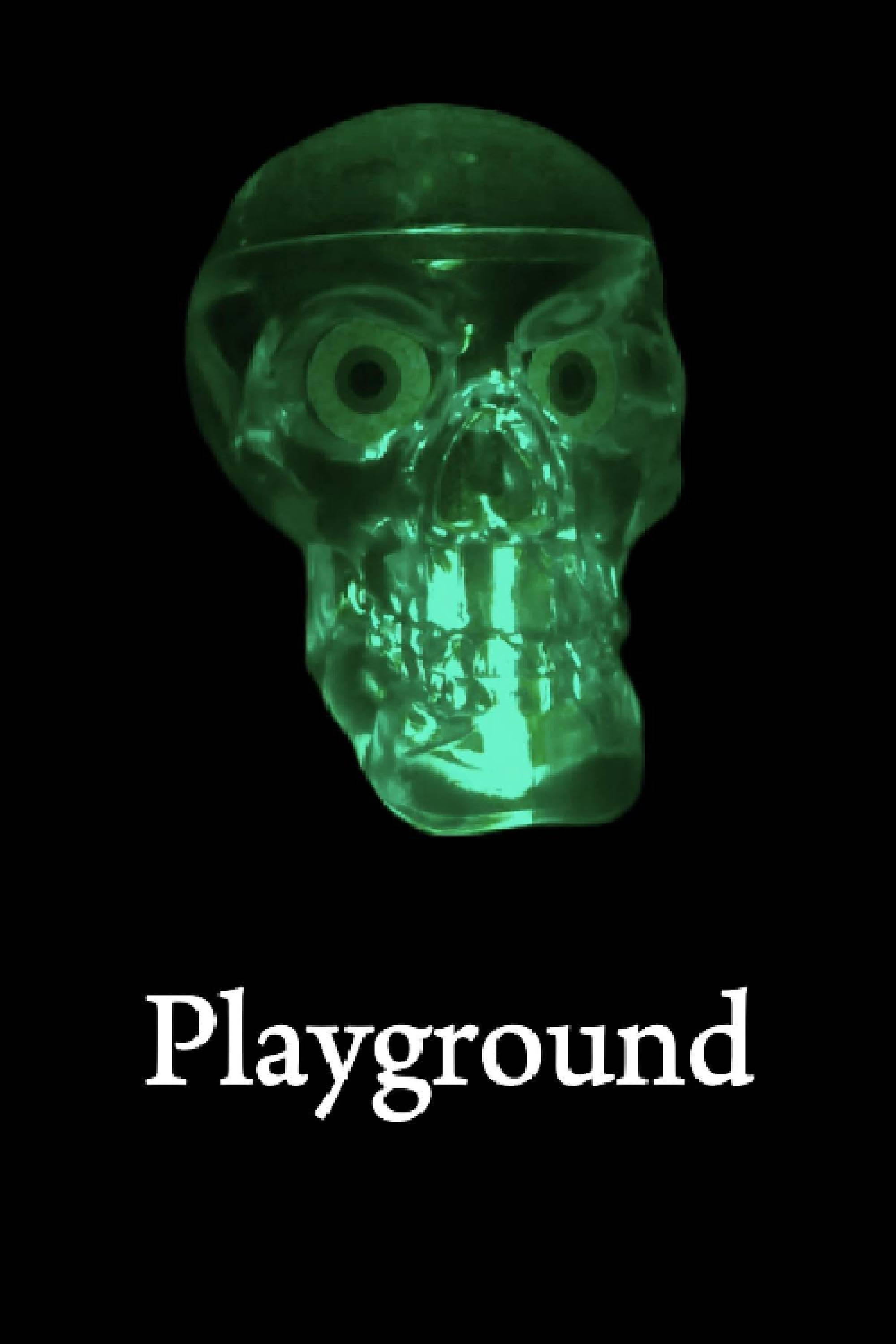 Playground (2026) poster